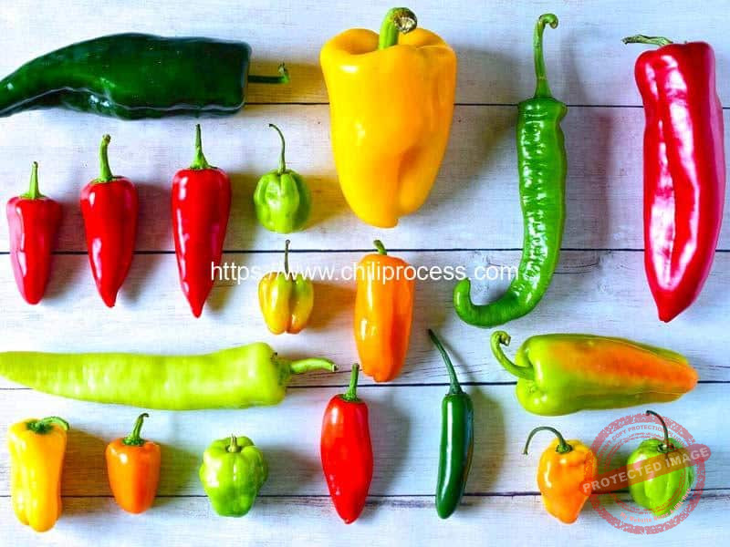 Various Chili Pepper Type Introduction and Processing Machine Various-Chili-Pepper-Type-Introduction-and-Processing-Machine